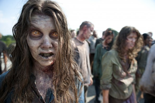 Illustration for article titled The Walking Dead season 2 promo and character photos